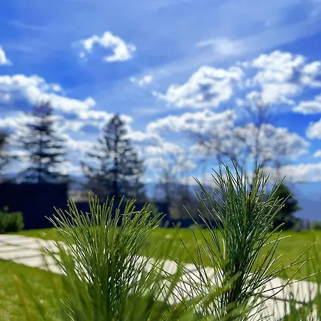 Loon Moon Mountain *