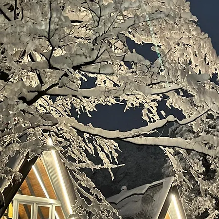 Loon Moon Mountain * Sarajevo