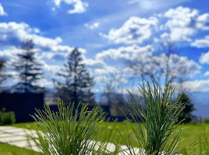 Loon Moon Mountain *