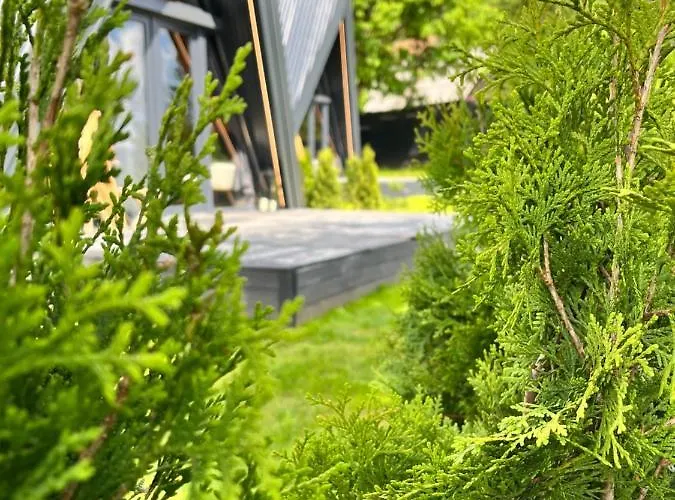 Chalet Loon Moon Mountain Sarajevo