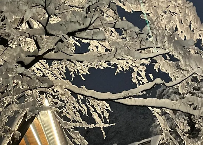 Loon Moon Mountain * Sarajevo